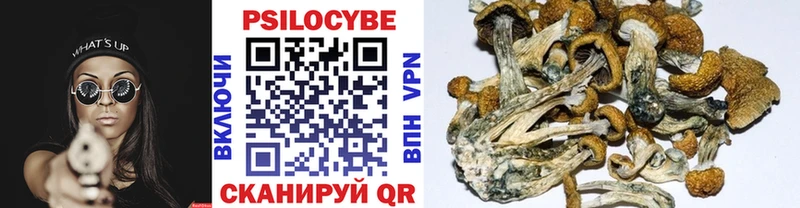 Псилоцибиновые грибы Psilocybe mega ссылка Корсаков